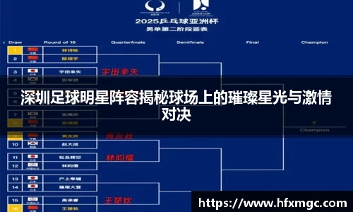 深圳足球明星阵容揭秘球场上的璀璨星光与激情对决